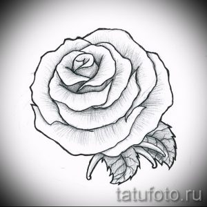 Фото эскиза татуировки с изображением классической розы, выполненной в простом и элегантном стиле с использованием тонких линий.