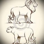 эскизы тату лев и львица - рисунки для татуировки от 29042916 2