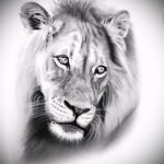 эскизы тату лев реализм - рисунки для татуировки от 29042916 6