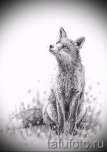 Черно-белое фото тату лисы, сидящей в траве. Детализированный рисунок с реалистичной шерстью и выразительными глазами. Подходит для любителей природы и животных.