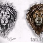 эскизы тату льва для мужчин - рисунки для татуировки от 29042916 3