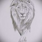 эскизы тату льва на руке - рисунки для татуировки от 29042916 1