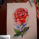 эскизы тату розы цветные - смотреть прикольную картинку 16