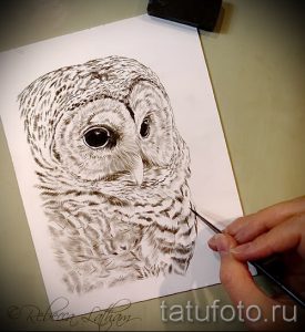 Эскиз татуировки совы, выполненный в реалистичной манере с использованием коричневых и бежевых оттенков. Рука мастера рисует эскиз.