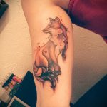 Fuchs Tätowierung auf seinem Arm - ein cooles Tattoo Foto auf 03052016 2