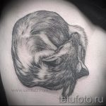 fox recroquevillé tattoo - frais photo de tatouage sur 03052016 1