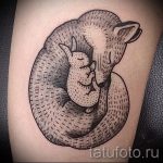 fox recroquevillé tattoo - frais photo de tatouage sur 03052016 2