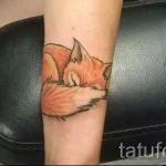 лиса свернувшаяся клубком тату - фото классной татуировки от 03052016 3