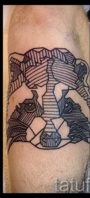 Тату енот — фото готовой татуировки для материала про значение 35
