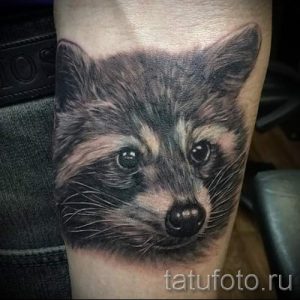 Фото реалистичной татуировки енота на руке, выполненной в серых тонах с высокой детализацией.