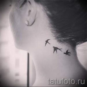 Фото тату трех маленьких ласточек на затылке. Черно-белые силуэты птиц, расположенные в ряд.