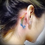 Фото тату: красочное акварельное перо на затылке, выполненное в ярких синих, красных и желтых тонах. Изящный рисунок татуировки для девушек.