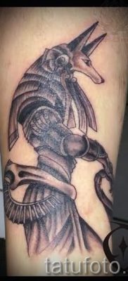 Anubis tattoo on his arm  1