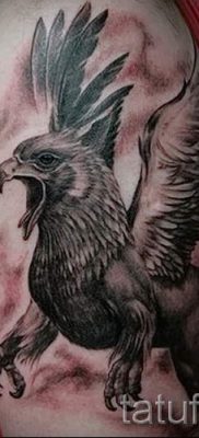 Greek griffin tattoo — photos for an article about the importance of 1