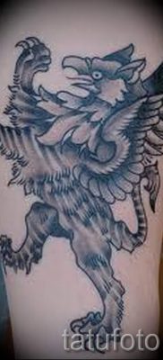 Greek griffin tattoo — photos for an article about the importance of 2