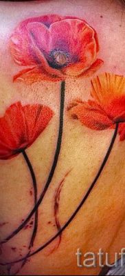 Poppies tattoo on his back — photos for an article about the importance of tattoos 2