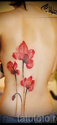 Poppies tattoo on his back — photos for an article about the importance of tattoos 4