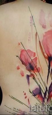 Poppies tattoo on his back — photos for an article about the importance of tattoos 5