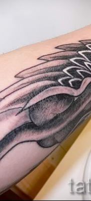 griffin tattoo on his forearm — photos for an article about the importance of 2