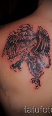 griffin tattoo on the shoulder blade — photos for an article about the importance of 1