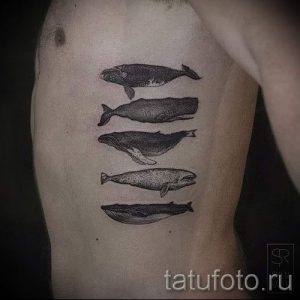 Фото тату: минималистичный ряд из пяти китов на боку, выполненный в черно-серых тонах. Простой и элегантный дизайн.