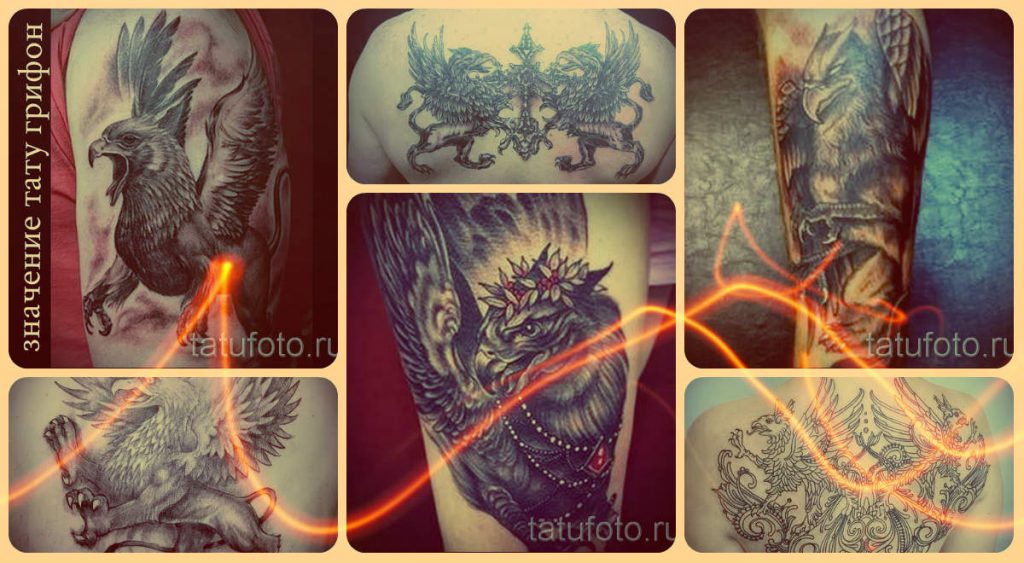 Значение тату грифон - лучшие примеры готовых татуировок