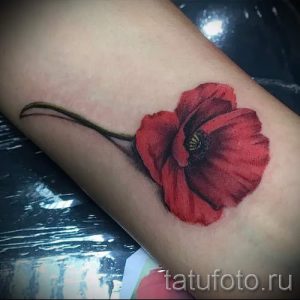 Фото реалистичной татуировки мака на предплечье. Красный цветок с детально прорисованными лепестками, стеблем и листьями.