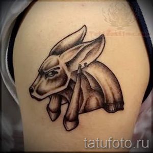 Фото тату головы быка на плече. Изображение выполнено в черно-серых тонах с акцентом на мускулатуру и рога. Стиль татуировки - графика.