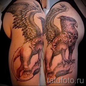 Фото тату: Пара грифонов, изображенных на плечах. Детализированная черно-серая татуировка с проработкой крыльев и шерсти.