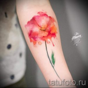 Фото акварельной татуировки мака на предплечье. Нежные розовые и красные оттенки, размытые края, эффект акварельной живописи.
