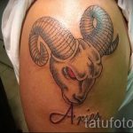Aries zodiac sign tattoos - photos of the finished tattoo on 02082016 1025 tatufoto.ru