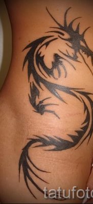 Foto — Tribal Tattoo Drachen — ein Beispiel für einen Artikel über die Bedeutung der 1012 tatufoto.ru