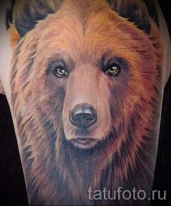 Foto - cooles Tattoo Bär - ein Beispiel 1033 tatufoto.ru