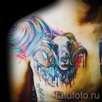 Widder tattoo Aquarell - Foto des fertigen Tätowierung 02082016 2051 tatufoto.ru