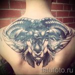 Widder tattoo - Fotos des fertigen Tätowierung auf 02082016 2049 tatufoto.ru