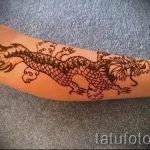 mehendi Drachen auf dem Arm - eine temporäre Henna-Tattoo Foto 1072 tatufoto.ru