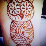 mehendi Eule auf seinem Bein - die Möglichkeiten der temporären Henna-Tattoo auf 05082016 2060 tatufoto.ru