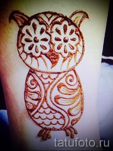 mehendi Eule auf seinem Bein - die Möglichkeiten der temporären Henna-Tattoo auf 05082016 2060 tatufoto.ru