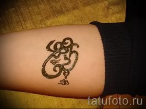 mehendi Tätowierung auf seinem Arm - eine temporäre Henna-Tattoo Foto 2185 tatufoto.ru