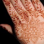 mehendi peinture sur les mains - photo temporaire tatouage au henné 1141 tatufoto.ru