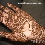 mehendi sur un oiseau de la main - Photo henné tatouage temporaire 1174 tatufoto.ru