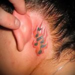 note tatouage derrière l'oreille - la photo du tatouage fini sur 02082016 1002 tatufoto.ru