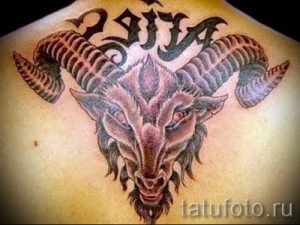 ram tattoo on his back - a photo of the finished tattoo 02082016 2038 tatufoto.ru