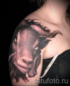 ram tattoo on his shoulder - a photo of the finished tattoo 02082016 1039 tatufoto.ru