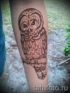 мехенди на руке сова - фото временной тату хной 4422 tatufoto.ru