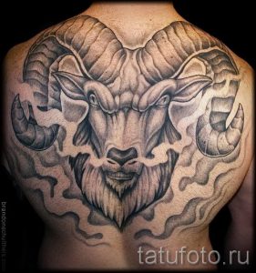 тату овна на спине - фото готовой татуировки от 02082016 1121 tatufoto.ru