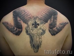 череп овен тату - фото готовой татуировки от 02082016 8132 tatufoto.ru