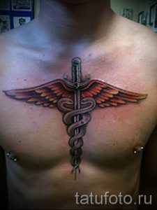 Caduceus Foto Tattoo - Tattoo Glück anzieht 1001 tatufoto.ru