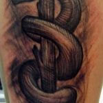 Caduceus Tattoo photo - tatouage attirer la bonne chance 1005 tatufoto.ru