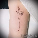 aber die einfache und schöne Tattoo - ein Foto des fertigen Tätowierung 02092016 1001 tatufoto.ru